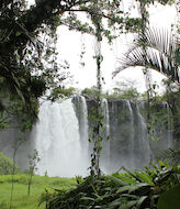 Selva del Marinero ecoturismo para defender la Reserva de la Biosfera Los Tuxtlas 