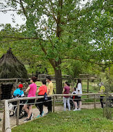 Naturaleza para Todos actividades en los Espacios Naturales de Andaluca 