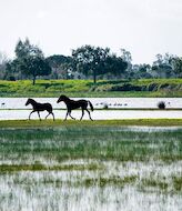 Andaluca recibir 391 millones en ayudas para su biodiversidad  