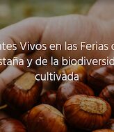 MONTES VIVOS Un proyecto para compatibilizar e integrar la biodiversidad en sistemas forestales para el fomento del desarrollo rural 