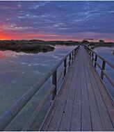 Cielo en movimiento descubre el birdwatching en la Comunitat Valenciana