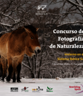 Primera edicin del Concurso de Fotografa de Naturaleza Invierno en el Sistema Ibrico Sur