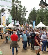 Asturias celebra la Feria Internacional Forestal Asturforesta 2021 