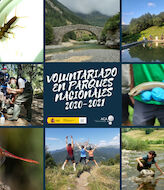 La gran funcin de los voluntarios en los parques naturales  