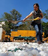 Limpian uno de los ros ms contaminados de Mxico con cascarones de huevo 