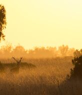 Un amanecer en Doana mejor imagen para Desarrollo Sostenible