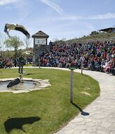 Sendaviva galardonada con el premio al Mejor Parque de Naturaleza del Ao 