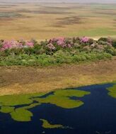 El Parque Nacional Iber en Argentina ha sumado 45617 hectreas 