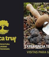 Tres empresas de Cuenca apuestan por la trufa con una ruta gastronmica  