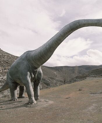 ‘Hace sesenta y cinco millones de años los dinosaurios tuvieron un mal día’ 