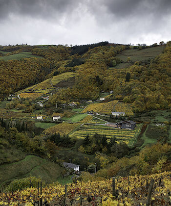 Descubre todo el paisaje de Asturias a través de su gastronomía  