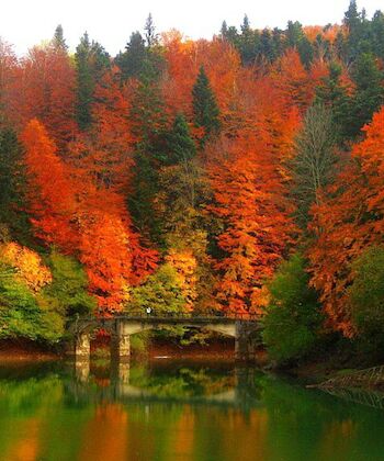 El otoño luce siempre un color maravilloso 