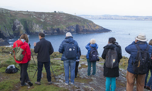 NatureWatch Galicia 2022 concluye con xito de participacin 