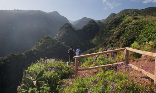 La Reserva de la Biosfera de La Palma en continua recuperacin  