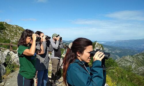 Los mejores lugares de Asturias para la observacin de aves 