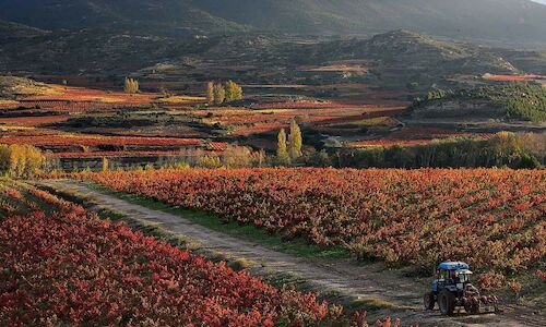 La Rioja y San Sebastin entre los lugares ms acogedores del mundo  