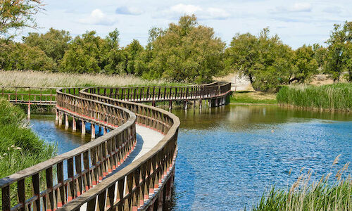 Proteger las Tablas de Daimiel para su 50 aniversario  