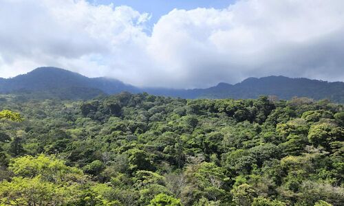 Chucant la mayor reserva de biodiversidad en Panam  