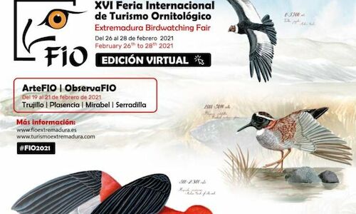 Vuelve virtualmente la 16 edicin de FIO Monfrage en Extremadura