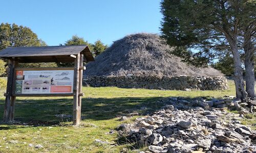 Asociacin Micorriza recuperar la naturaleza y la cultura del Alto Tajo 