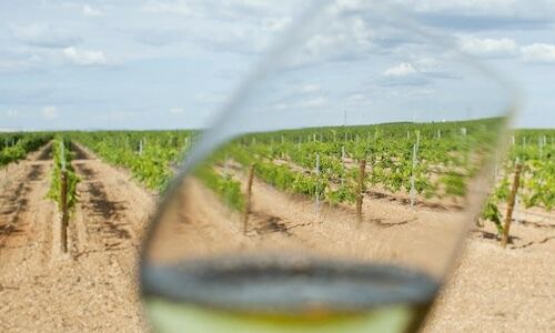 La Ruta del Vino de Rueda enoturismo y ecoturismo familiar 