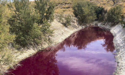 Sabes dnde est la laguna que se tie de rojo de manera natural  