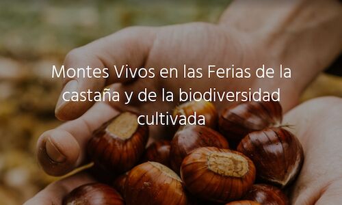 MONTES VIVOS Un proyecto para compatibilizar e integrar la biodiversidad en sistemas forestales para el fomento del desarrollo rural 