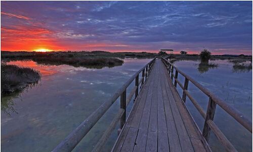 Cielo en movimiento descubre el birdwatching en la Comunitat Valenciana