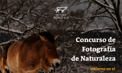 Primera edicin del Concurso de Fotografa de Naturaleza Invierno en el Sistema Ibrico Sur