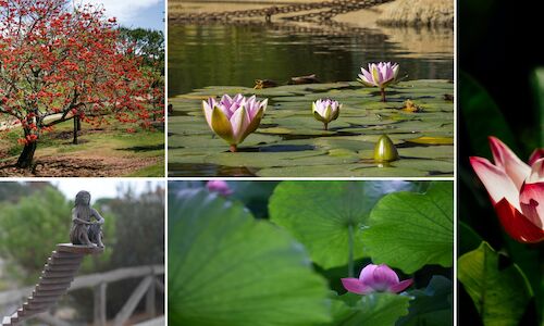 Parque botnico Celestino Mutis Un oasis de biodiversidad en Huelva