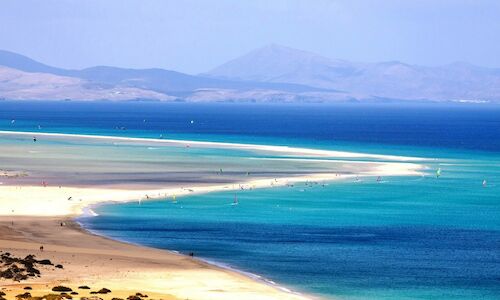 Las aves esteparias vuelven a su hbitat en Fuerteventura 