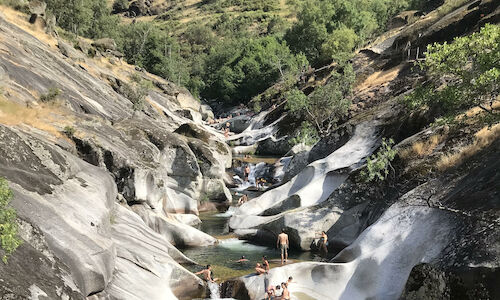 Ecoturismo pilar de la reconstruccin verde tras la pandemia