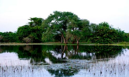 Orango Parque Hotel proyecto de ecoturismo humano en Guinea Bissau