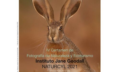 Naturcyl abre las puertas al IV Certamen de Fotografa de Naturaleza y Ecoturismo 