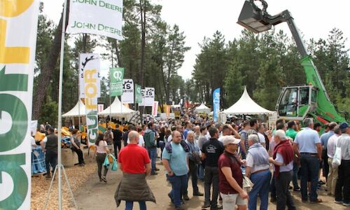 Asturias celebra la Feria Internacional Forestal Asturforesta 2021 