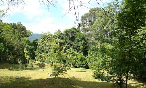 Bosques de Cantabria retoma las visitas guiadas por el Arboreto de Liendo 