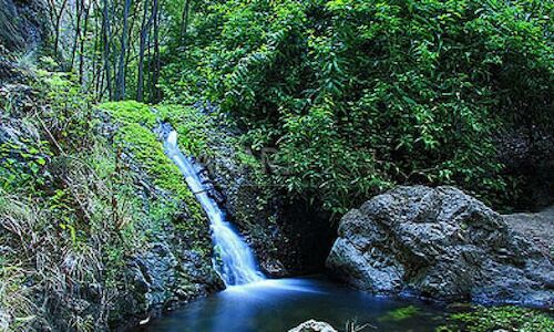 Gran Canaria comienza el plan de ordenacin de 9 espacios naturales 