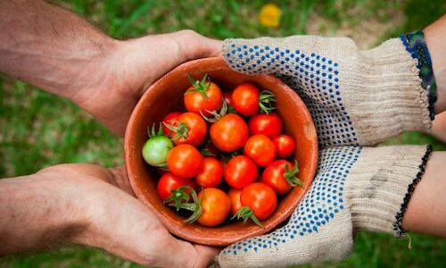 Comer naturaleza Conoce los mejores restaurantes ecolgicos de Espaa 