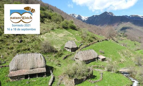 Vuelve la V edicin del encuentro de naturaleza natureWatch Somiedo 