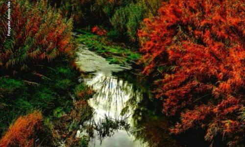 Ejea de los Caballeros lanza un programa de educacin ambiental 