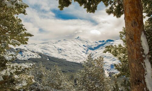 Desarrollo Sostenible destina 13 millones de euros a Espacios Naturales de Andaluca