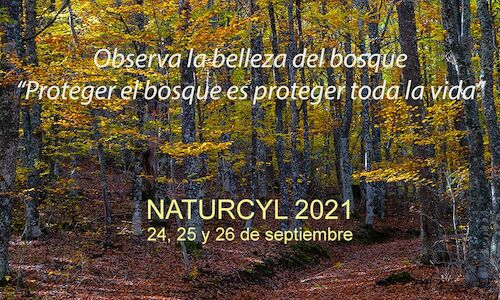 Ruesga se convierte en capital del ecoturismo con la celebracin de NATURCYL 2021  