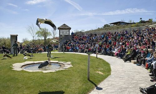 Sendaviva galardonada con el premio al Mejor Parque de Naturaleza del Ao 