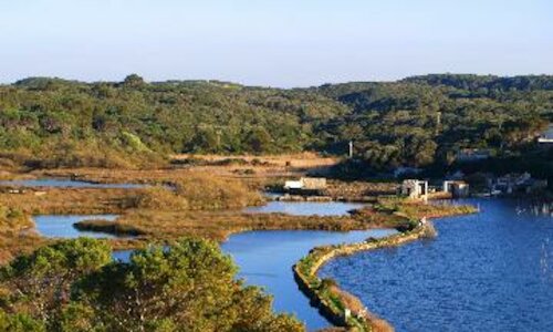 El 30 de los turistas internacionales en Espaa visitan destinos rurales 