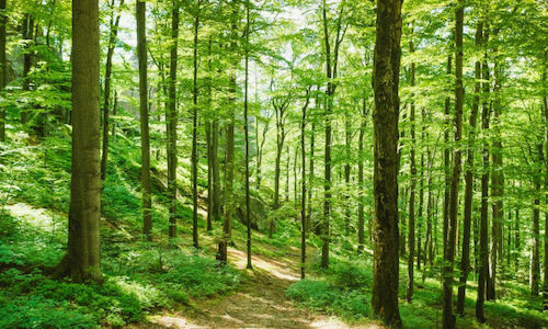 Inauguran ruta de ciclismo familiar en el Bosque Protector Cerro Blanco 