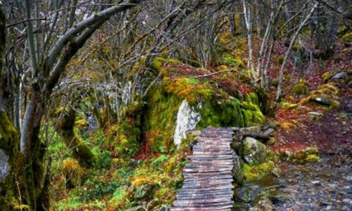 III concurso de fotografa de la Reserva Biosfera Ancares Leoneses 