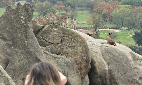 La Sierra de Guadarrama acoger el IV Encuentro NatureWatch Madrid