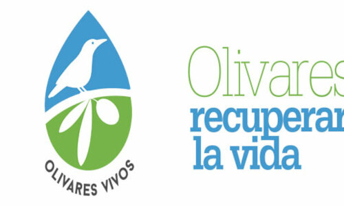 LIFE Olivares Vivos inicia su segunda edicin hasta 2026 