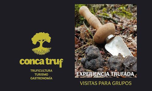 Tres empresas de Cuenca apuestan por la trufa con una ruta gastronmica  