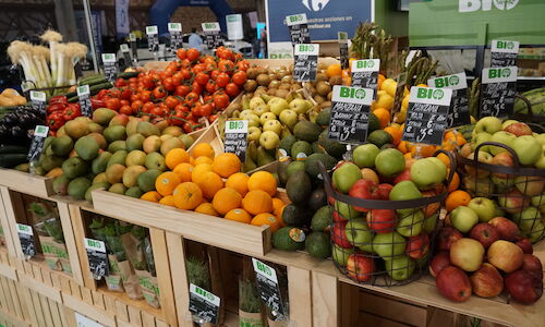 Natura Mlaga encuentro  vinculado a la produccin ecolgica y el bienestar 